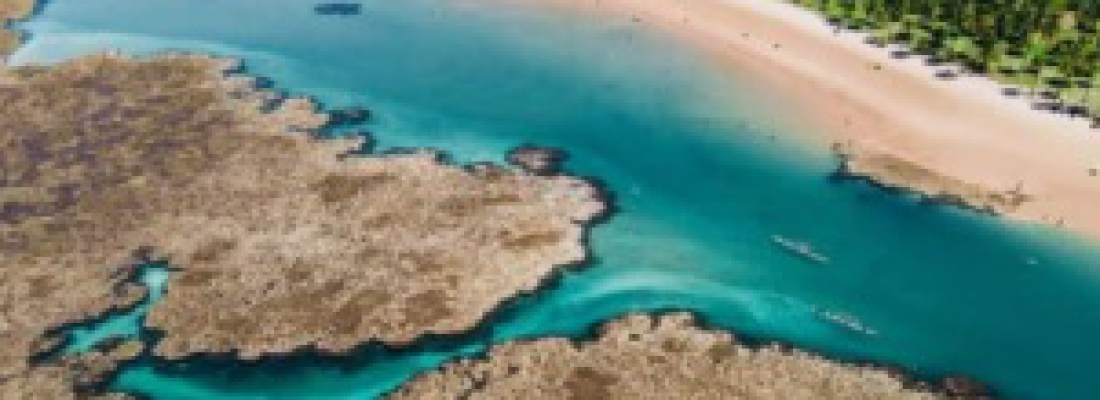 PENINSULA DE MARAÚ / ILHÉUS E MUCURI
